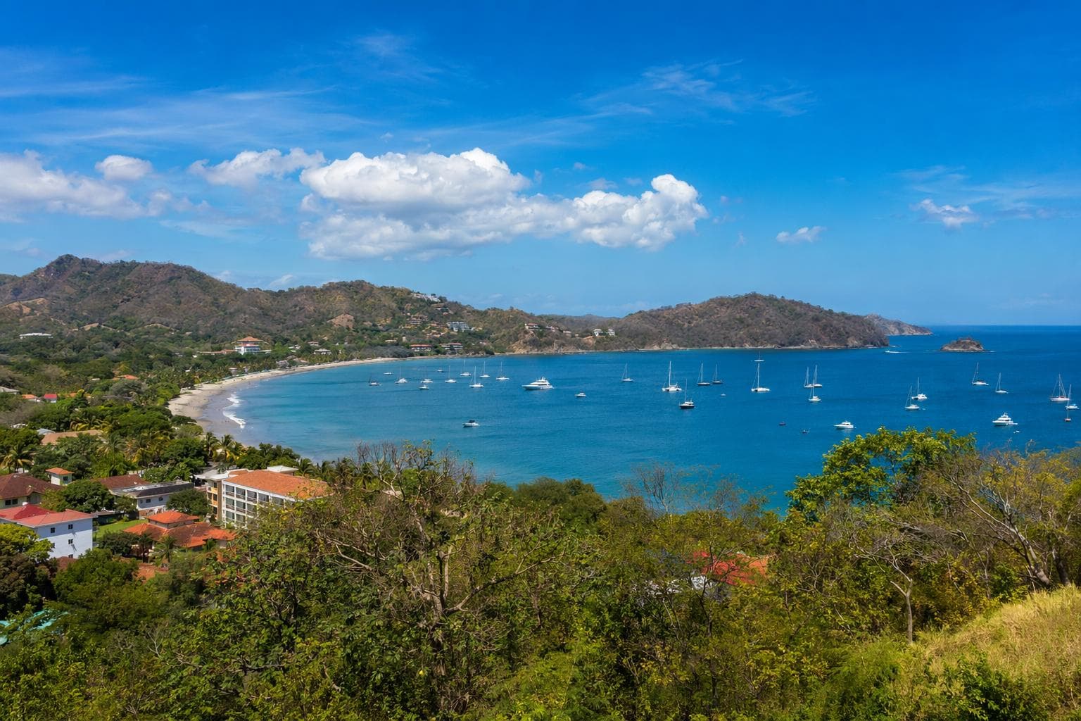 Coco / Papagayo